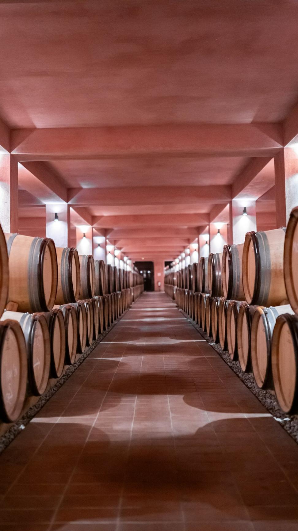 Private Wine Cellar Design