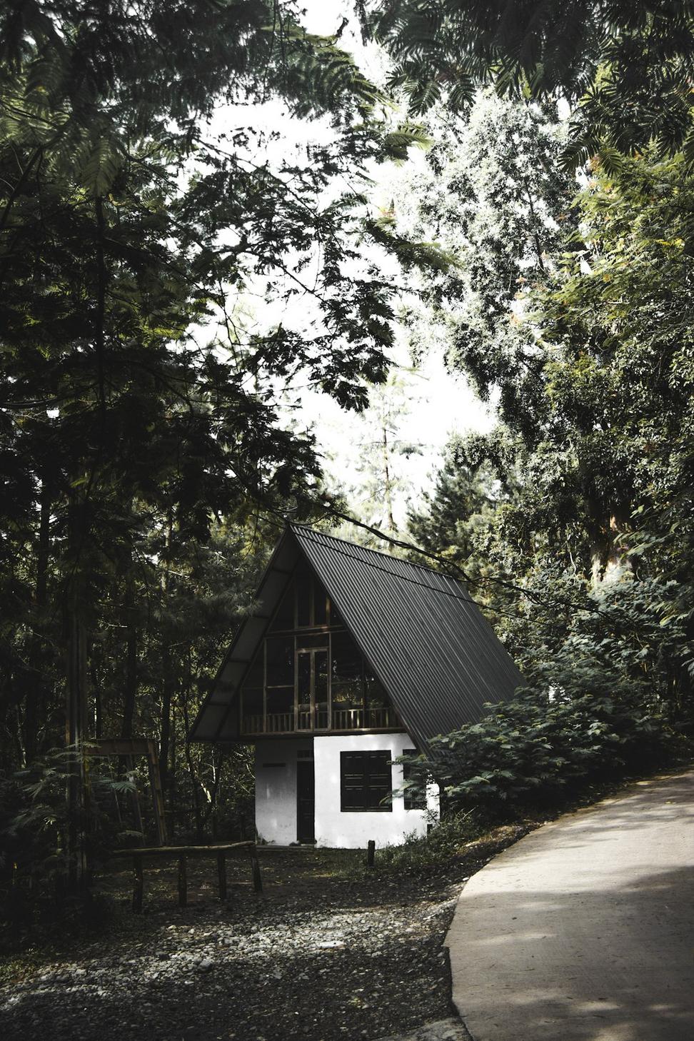 West Vancouver Forest House